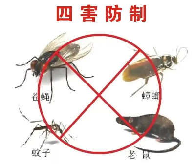 床墊易滋生吸血臭蟲，怎樣預(yù)防呢？